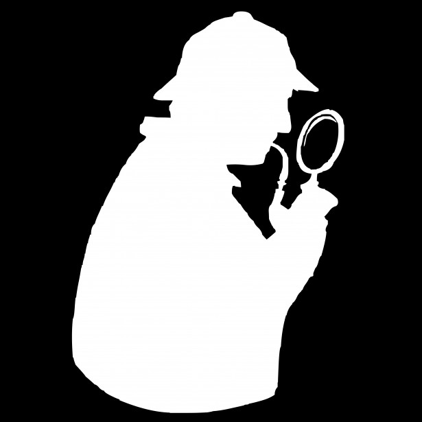 Cover Image of the Post